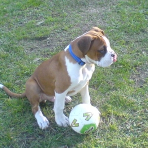 World Cup - Here I come
