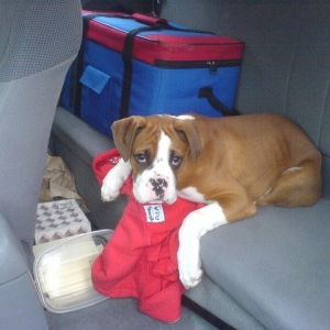 so Damned Cute