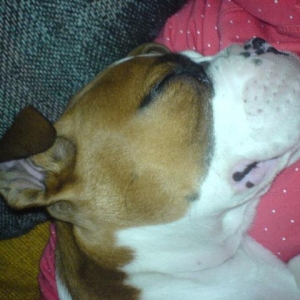 Asleep - Finally!