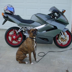 Buddy/bike