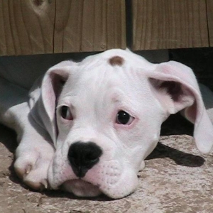 look_at_that_face