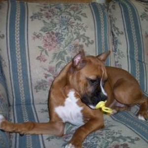 I am just a baby......