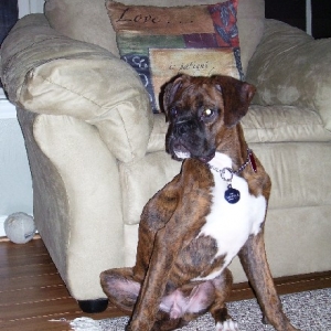 Strike a pose
