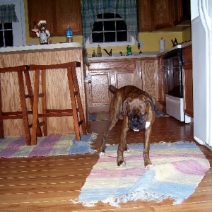 Did I do that?