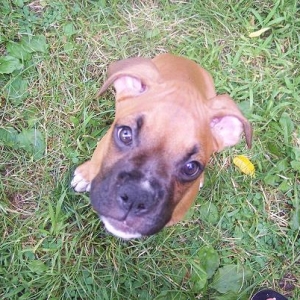 Adorable, I KNOW!