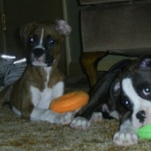 Libby and Tucker