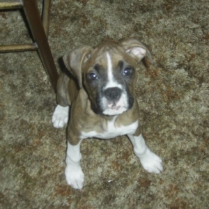 Libby under 3 months