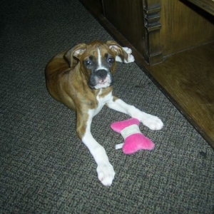 Libby with a favorite toy