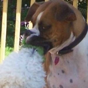 I_don_t_like_that_look_