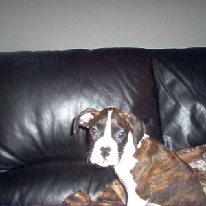 Bella, her first day at home