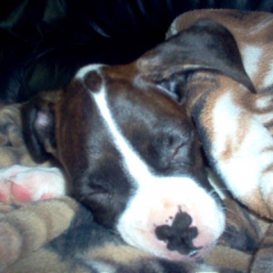 All snug after a bath