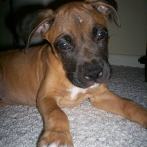 Oakley
