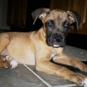 Oakley