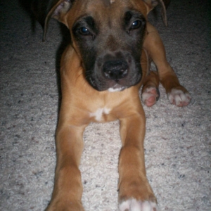 Oakley
