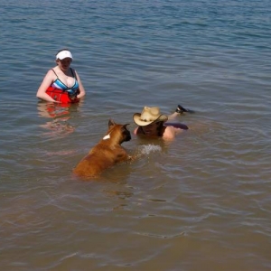 Siren loves the lake