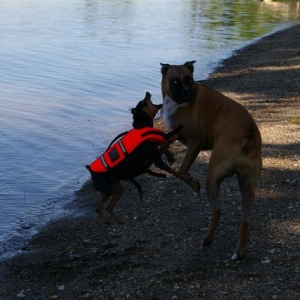 Attack of the Pin!