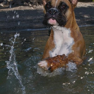 I'ma gonna get you!