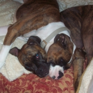 Two Heads are Better Than One?
