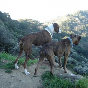 Down in the Valley