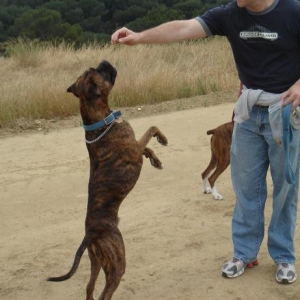 BeBop Jumping