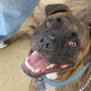 Big Smile!