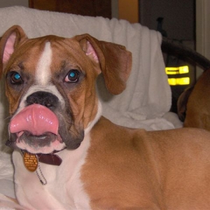 Wilson_with_his_kiss