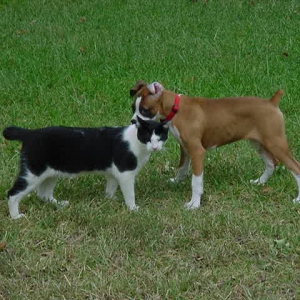 Daisy and her best friend, Oreo