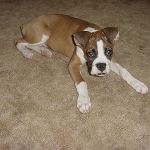 What a cutie!