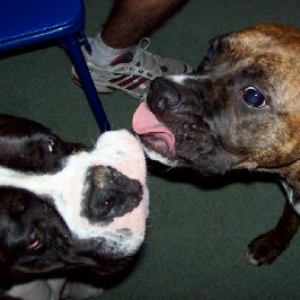 Kisses for YOU!