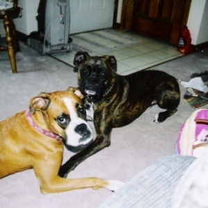 This is my sister, Roxy
