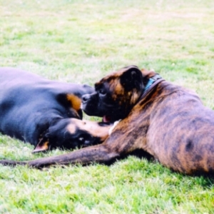 My Friend, Wyatt Really Does Love Me!