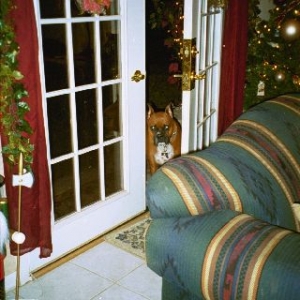 Christmas Time