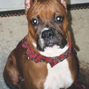 Adorable Cisco