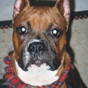 Pretty Face Cisco