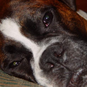 Sleepy Dempsey...