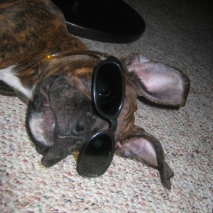Cool Molly!!