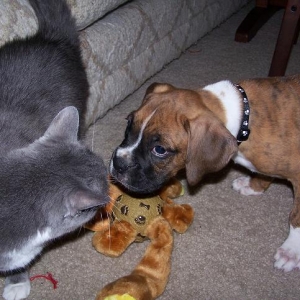 First Encounter