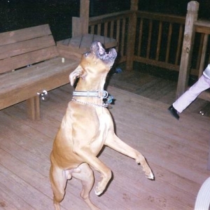 Cooper's Birthday