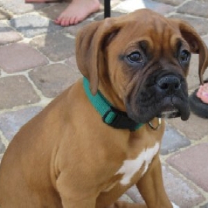 When he was cute