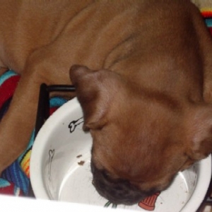 Cooper's Bowl