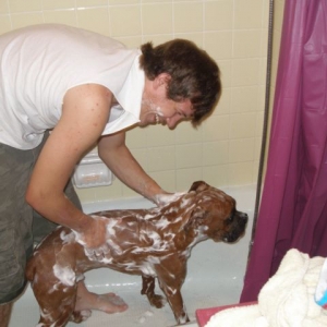 Xander bathing Brad :)