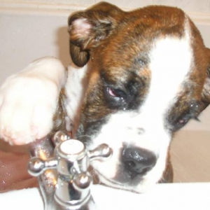 First Bath