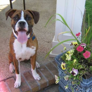 Lucy at 8 Months