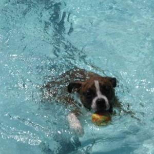Swimmin