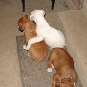 Klyde Hugging His Brother Jake