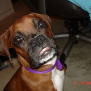 Sophie making one of her many faces...
