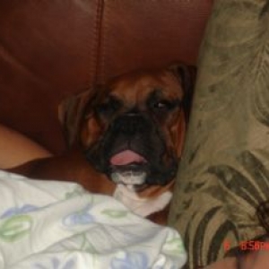 How dare she actually stick her tongue out at me!!!!