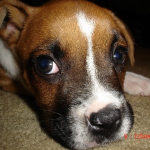 Roxy's "What are you doing?" look
