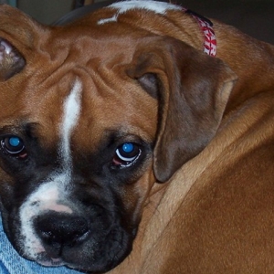 Beautiful_Riley