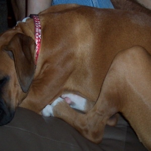 Riley1